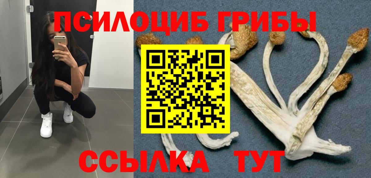 Галлюциногенные грибы прущие грибы Верхняя Салда